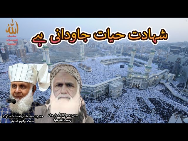 Shahadat hayat-e-jawidani hai 