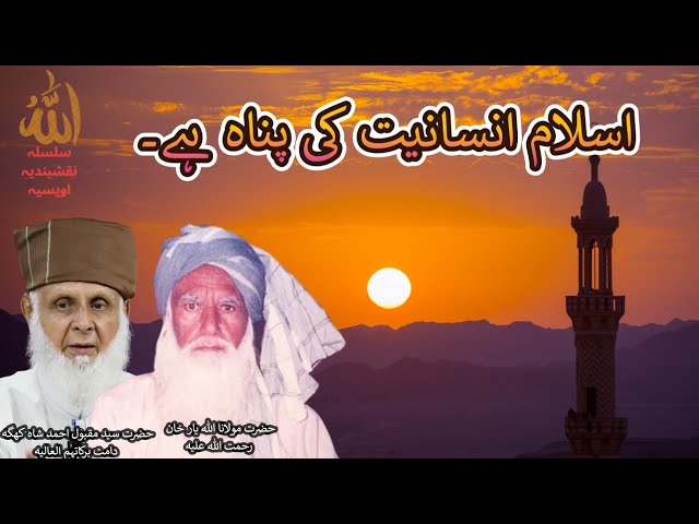 Islam Insaniyat Ki Panah Hai 